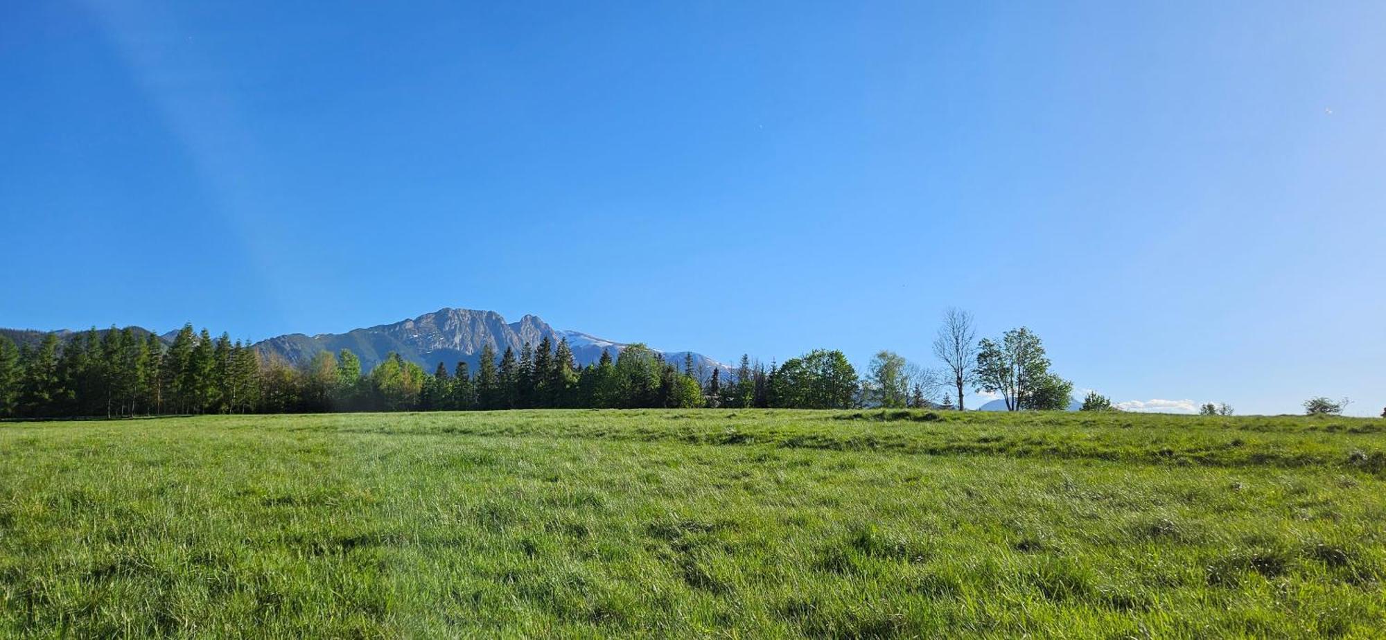 Apartmán Marol Wynajem Pokoi Zakopane Exteriér fotografie