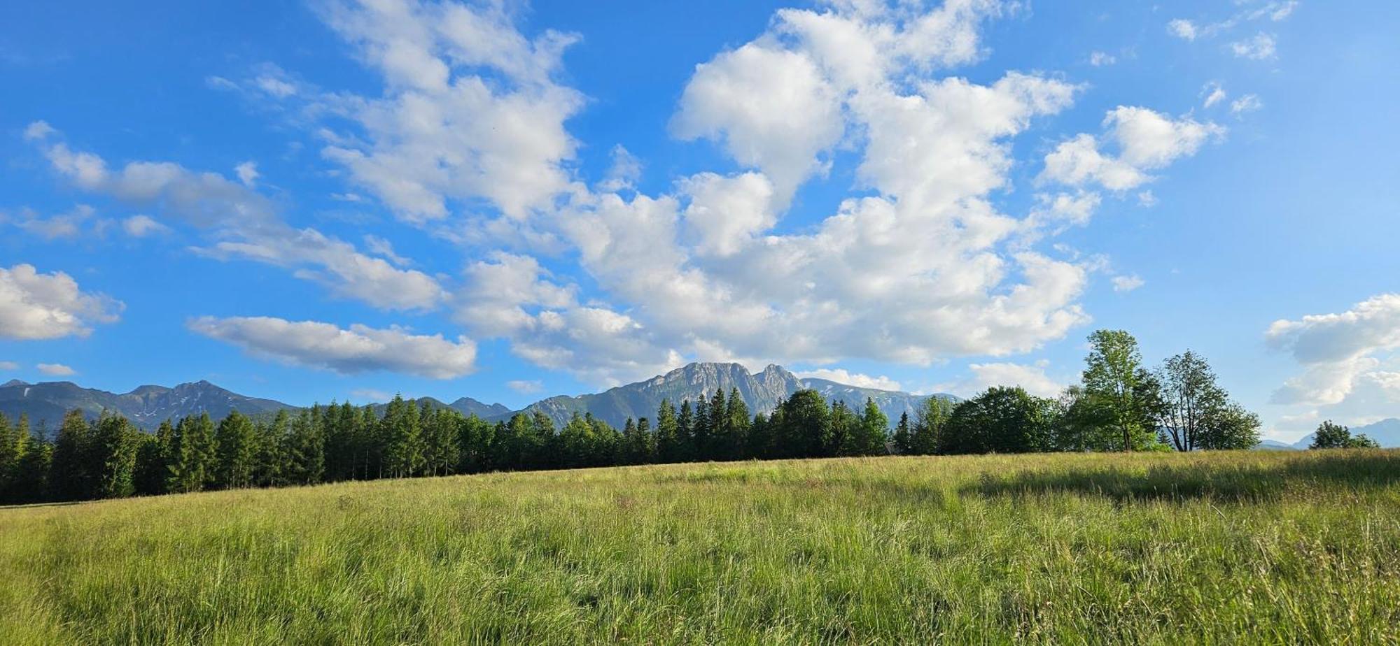 Apartmán Marol Wynajem Pokoi Zakopane Exteriér fotografie